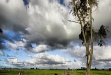 浴血热火，逆境重生？巴特勒伤退，谁能扛起迈阿密大旗！