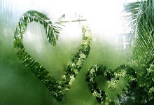 雷霆万钧：青春风暴席卷俄克拉荷马，年轻巨星闪耀，引领球队重返巅峰