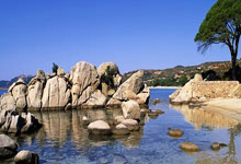 埃沙尼亚主场憾负希腊：一场不屈的战斗，一次凤凰涅槃的序章