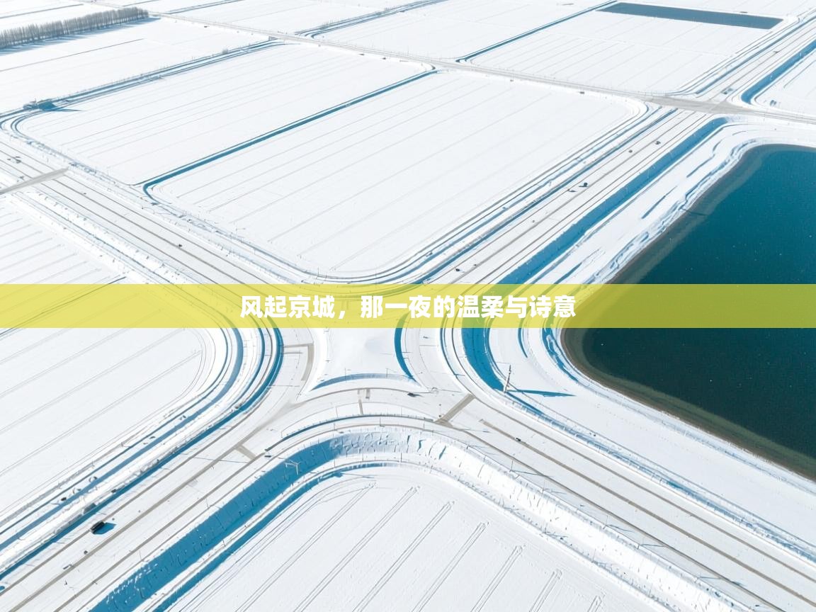 风起京城，那一夜的温柔与诗意  第1张