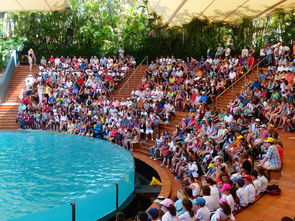 爱游戏网页版-南特主场告捷，实力再次获得认可，南特对里昂的比分预测